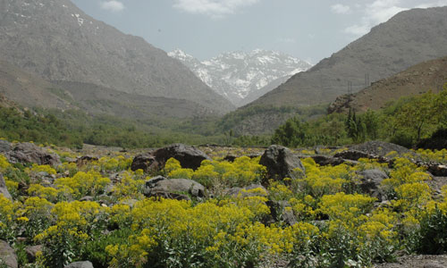 trekking